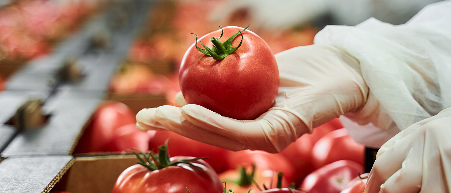 De olho na higiene dos alimentos
