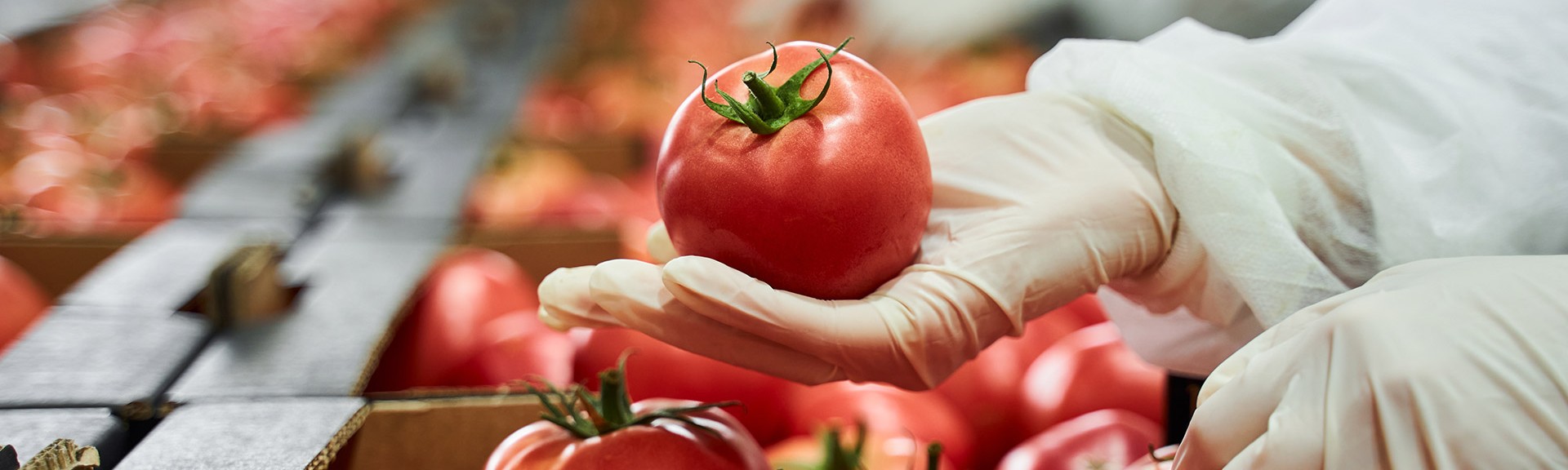 De olho na higiene dos alimentos