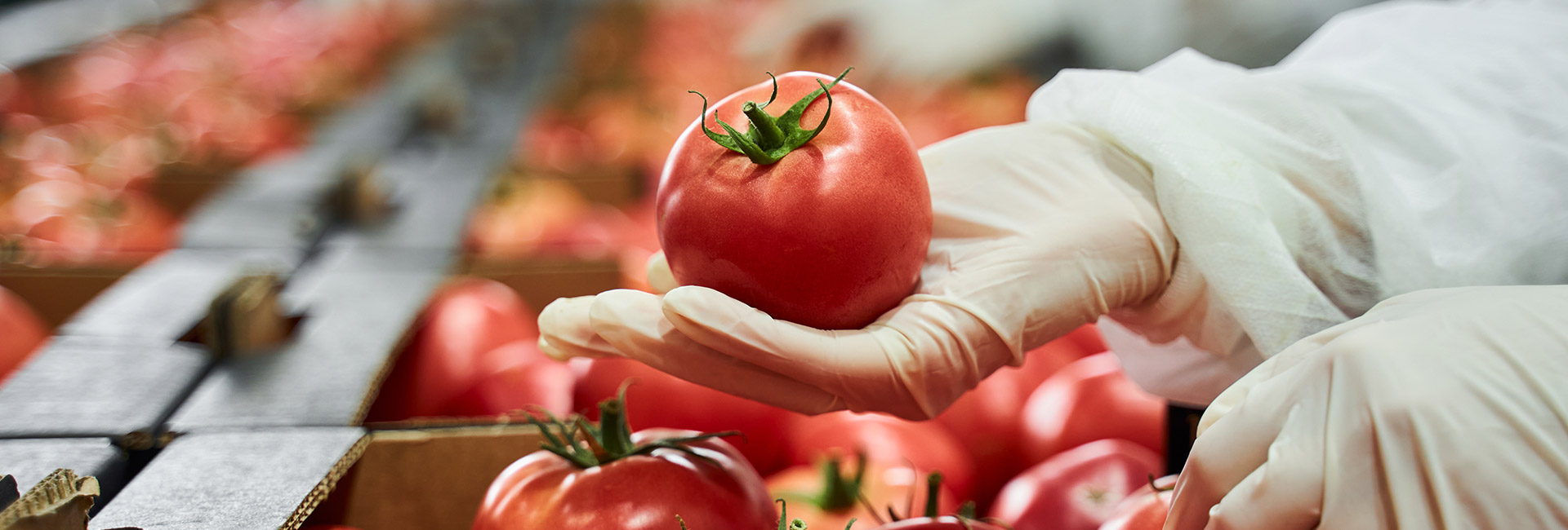 De olho na higiene dos alimentos